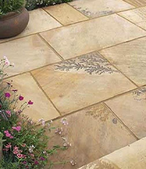 Mint Fossil Indian Sandstone
